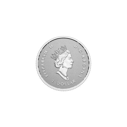 Ensemble de 5 pièces 2022 Monnaie royale canadienne | Pièces d'argent divisionnaire Feuille d'érable | Une couronne étincelante