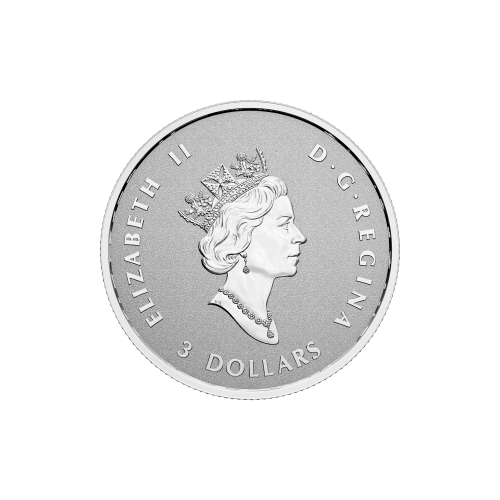 Ensemble de 5 pièces 2022 Monnaie royale canadienne | Pièces d'argent divisionnaire Feuille d'érable | Une couronne étincelante