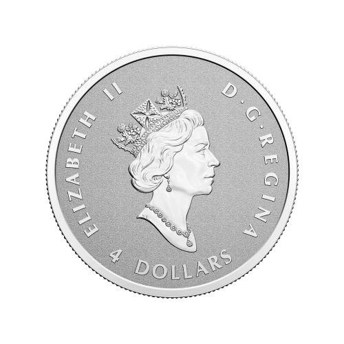 Ensemble de 5 pièces 2022 Monnaie royale canadienne | Pièces d'argent divisionnaire Feuille d'érable | Une couronne étincelante