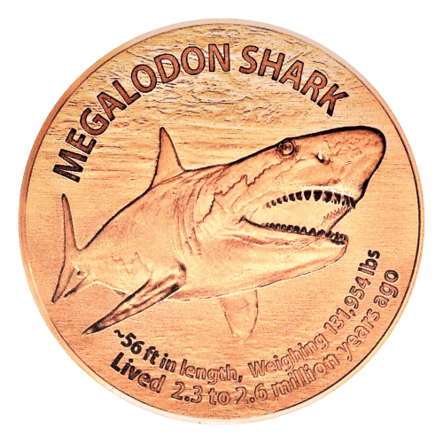 1 oz Megalodon Copper Round