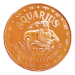 1 oz Aquarius Copper Round