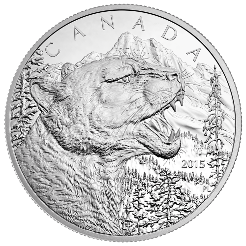1/2 kilo 2015 Growling Cougar Silver Coin | Royal Canadian Mint