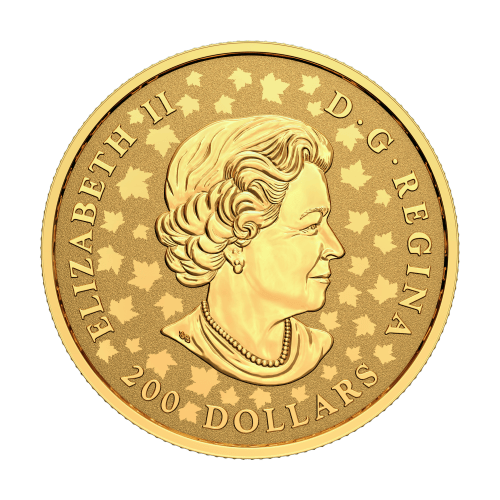 1 once 2021 Monnaie royale canadienne | Pièce d'or Piedfort Célébration Feuille d'érable