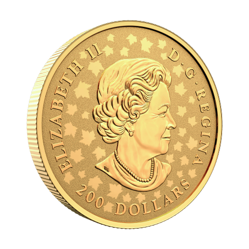 1 once 2021 Monnaie royale canadienne | Pièce d'or Piedfort Célébration Feuille d'érable