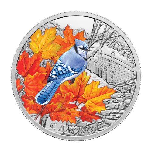 1 oz 2021 Royal Canadian Mint | Colourful Birds: Blue Jay Silver Coin