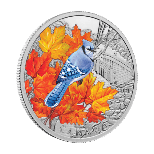 1 oz 2021 Royal Canadian Mint | Colourful Birds: Blue Jay Silver Coin
