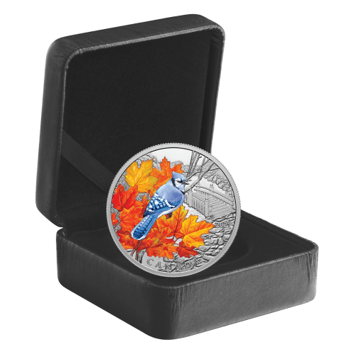 1 oz 2021 Royal Canadian Mint | Colourful Birds: Blue Jay Silver Coin