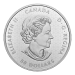 5 oz 2022 Peace Dollar Silver Coin | Royal Canadian Mint