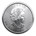 Pièce 1 once de platine Feuille d'érable canadienne 2022 | Monnaie royale canadienne