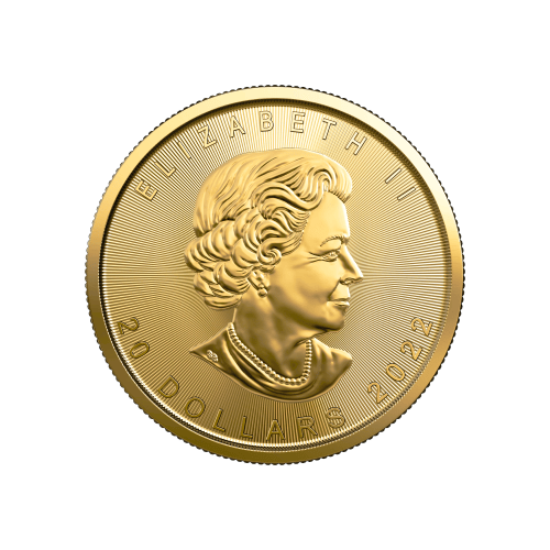 Pièce 1/2 once d'or Feuille d'érable canadienne 2022 | Monnaie royale canadienne
