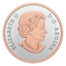 1 oz 2022 Best Wishes on your Wedding Day Proof Silver Coin | Royal Canadian Mint
