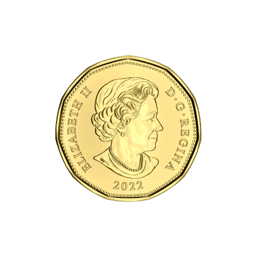 Set of 5 x 2022 Newborn Baby Coins | Royal Canadian Mint