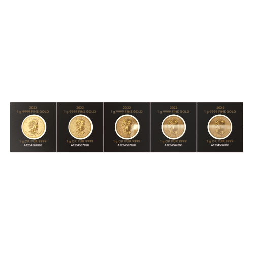 Feuille de pièces d'or MapleGram 2022 de 5 grammes (5 x 1 g)