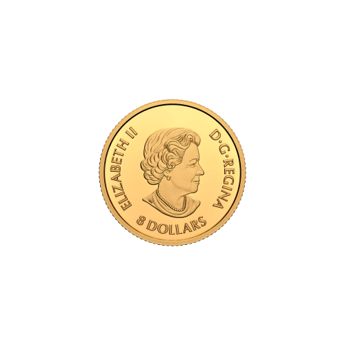Pièce 1/20 once d'or Dragon de Terre 2022 | Monnaie royale canadienne