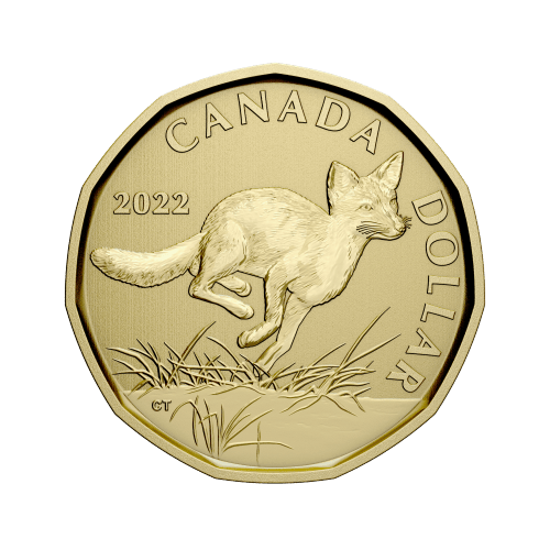 Set of 6 x 2022 Conservation Stories: Swift Fox Specimen Coins | Royal Canadian Mint