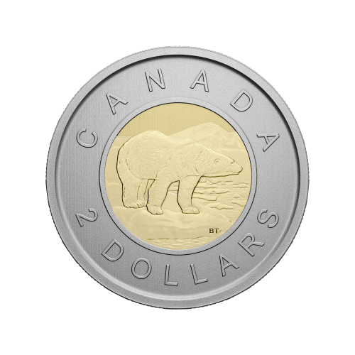 Set of 6 x 2022 Conservation Stories: Swift Fox Specimen Coins | Royal Canadian Mint