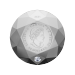 2021 Forevermark Black Label Round Diamond-Shaped Silver Coin | Royal Canadian Mint