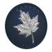 5 oz 2022 Maple Leaves in Motion Silver Coin | Royal Canadian Mint