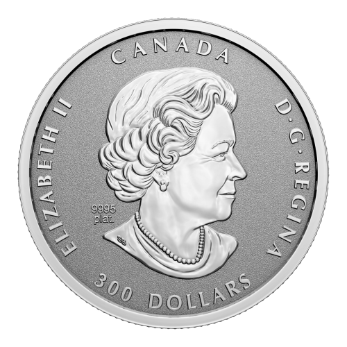 Pièce de platine Le Jubilé de Platine de Sa Majesté la reine Elizabeth II 2022 | Monnaie royale canadienne