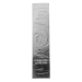Lingot 100 onces d'argent coulé | Monnaie de Scottsdale