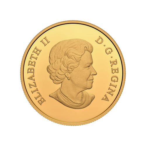1/2 once 2022 Monnaie royale canadienne | Collection grands voiliers | Pièce d'or Brigantin