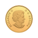 1/2 once 2022 Monnaie royale canadienne | Collection grands voiliers | Pièce d'or Brigantin