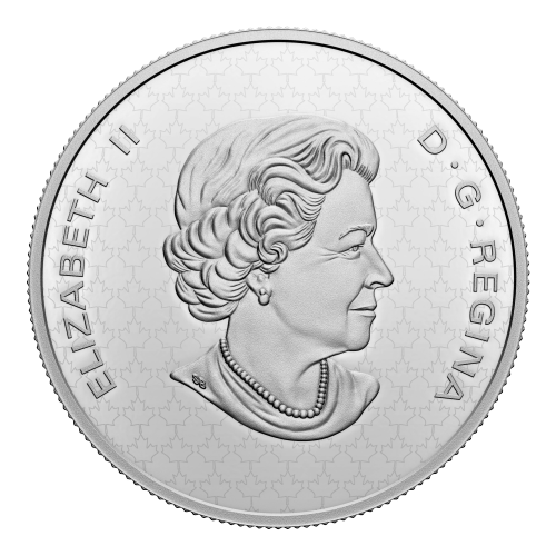 Pièce 5 onces d'argent Vue d'ensemble : Le castor 2022 | Monnaie royale canadienne