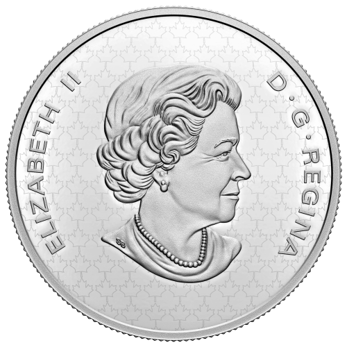 5 oz 2022 The Bigger Picture: The Coat of Arms Silver Coin | Royal Canadian Mint