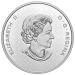 5 oz 2022 The Bigger Picture: The Coat of Arms Silver Coin | Royal Canadian Mint