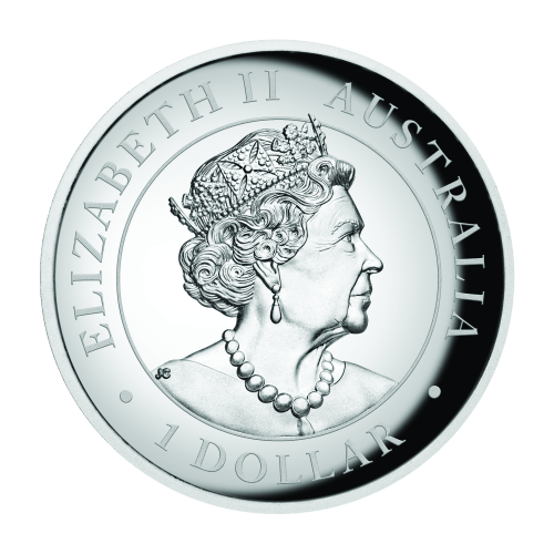 Pièce 1 once d'argent coloré Haut relief Kangourou australien 2022 | Monnaie de Perth