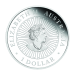 1 oz 2022 Lunar Year of the Tiger Opal Silver Coin | Perth Mint