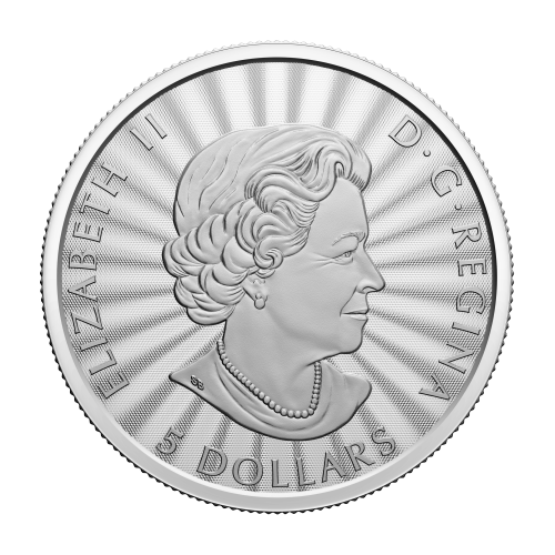 Pièce 1 once d'argent Le majestueux ours polaire 2022 | Monnaie royale canadienne