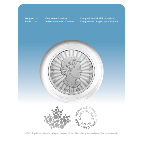 Pièce 1 once d'argent Le majestueux ours polaire 2022 | Monnaie royale canadienne