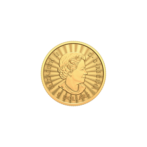 1/10 oz 2022 The Majestic Polar Bear First Strike Gold Coin | Royal Canadian Mint