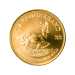 Pièce 1/2 once d'or Krugerrand 2022 | Rand Refinery
