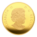 1 once 2015 Monnaie royale canadienne | Pièce d'or Reflet d'une feuille d'érable