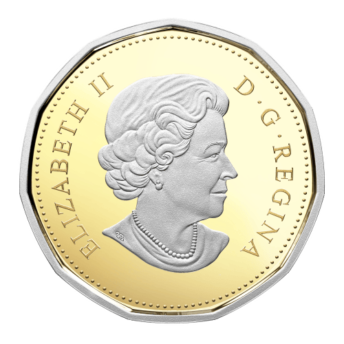 1 oz 2017 Royal Canadian Mint | 30th Anniversary of the Loonie - Common Loon Gold Coin