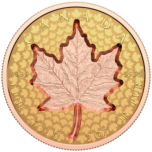 Pièce 2 onces en or Feuille d'érable super incuse 2022 | Monnaie royale canadienne