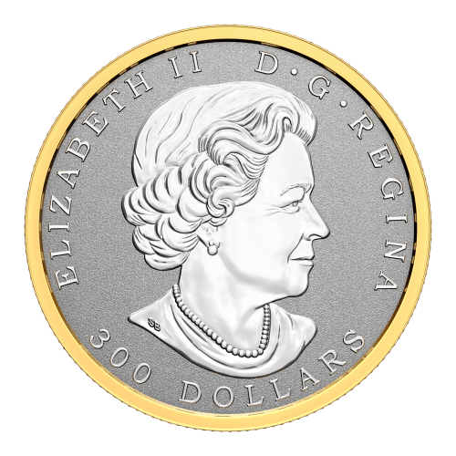 Pièce 1 once de platine La richesse d'un symbole 2022 | Monnaie royale canadienne
