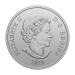 Pièce 1 once d'argent Diadème de diamant de Sa Majesté la reine Elizabeth II 2022 | Monnaie royale canadienne