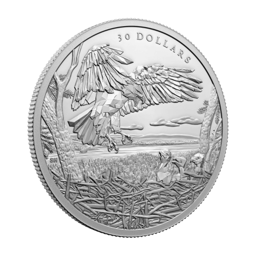 Pièce 2 onces d'argent Famille d'animaux à multiples facettes : Pygargues à tête blanche 2022 | Monnaie royale canadienne