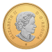 5 oz 2022 1 Cent 10th Anniversary of the Farewell to the Penny Silver Coin | Royal Canadian Mint