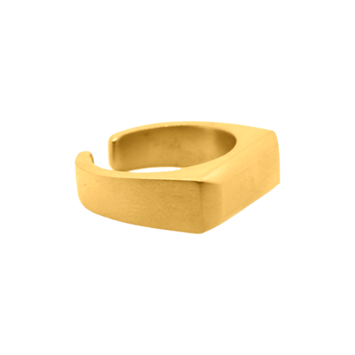 Large Adjustable Signet Gold Ring