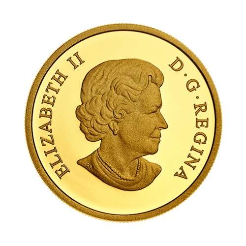 Pièce 1/2 once d'or Les débuts du Canada : Nouvelle France 2020 | Monnaie royale canadienne