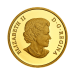 Pièce 1/2 once d'or Les débuts du Canada : Nouvelle France 2020 | Monnaie royale canadienne