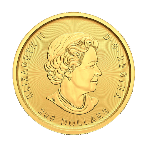 Pièce 1 once d'or à 99999 Ruée vers l'or du Klondike 2022 | Monnaie royale canadienne