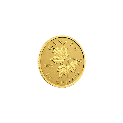 1/20 oz 2022 Everlasting Maple Leaf Gold Coin | Royal Canadian Mint