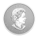 Pièce 1 once d'argent Feuille d'érable Très haut relief 2022 | Monnaie royale canadienne
