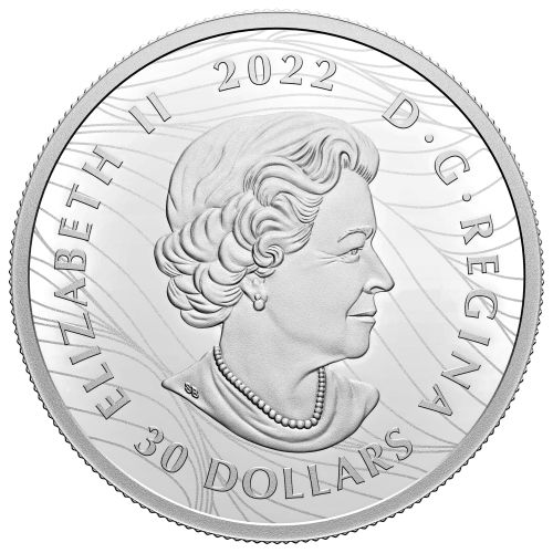 Pièce 2 onces d'argent Kaléidoscope du Canada 2022 | Monnaie royale canadienne
