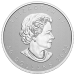 5 oz 2022 Ultra-High Relief Maple Leaf Silver Coin | Royal Canadian Mint